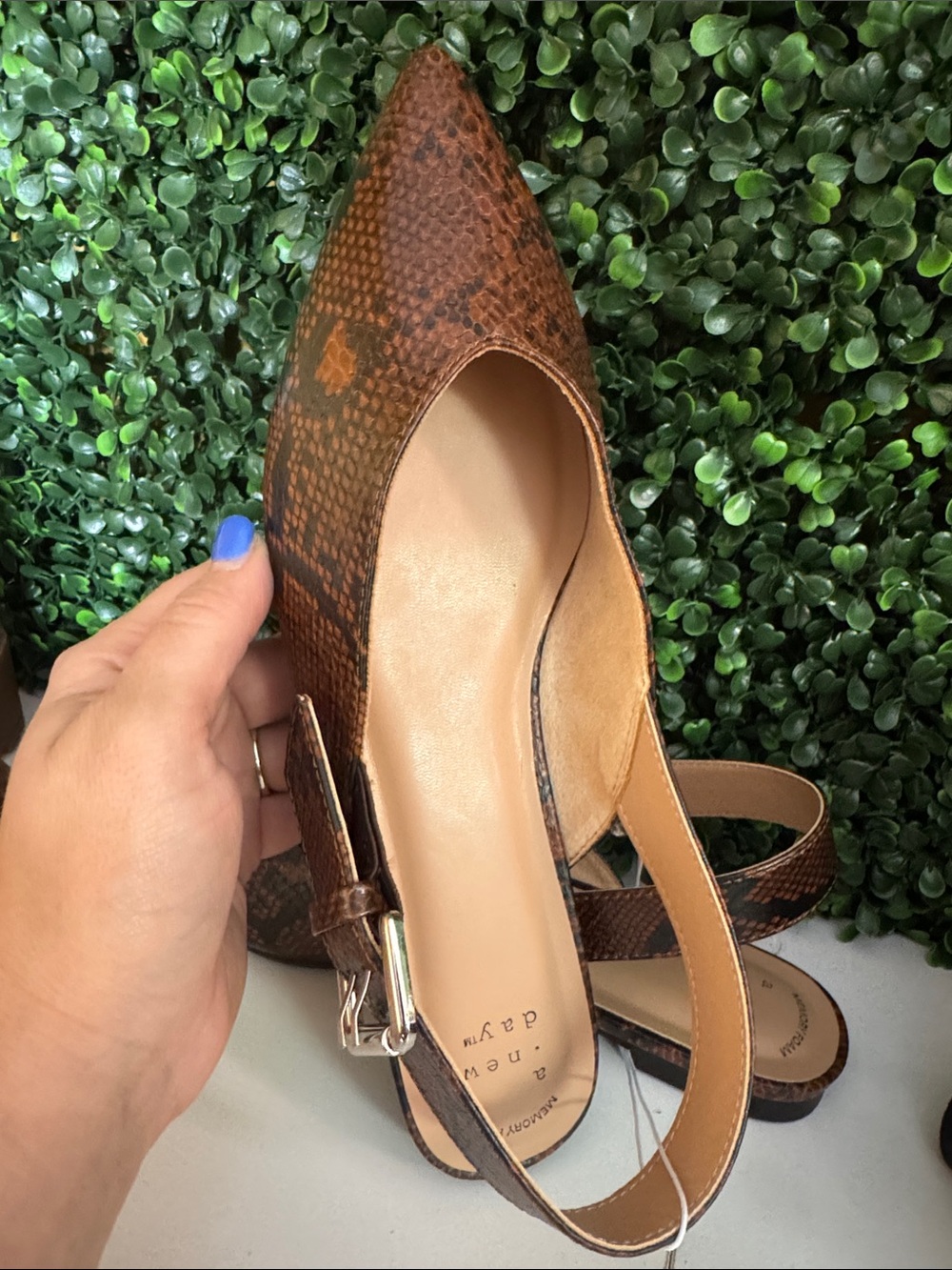 a new day Brown Snake-Print Pointed Slingback Flats - Picture 4 of 4